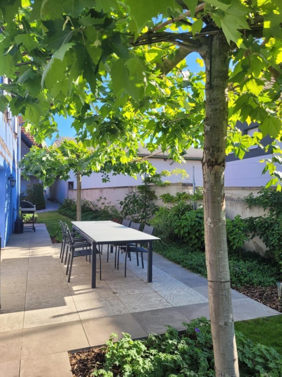 Le Clos Des Jardiniers Gottri Gerstheim Buitenkant foto